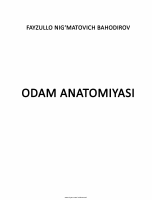 Odam anatomiyasi (F.Bahodirov) [@kitoblar1].pdf